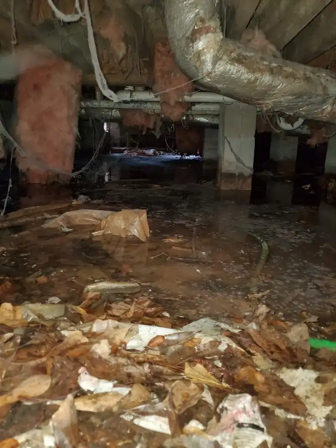 Crawl space flood assessment for Commercial Water Damage Restoration in Lexington
